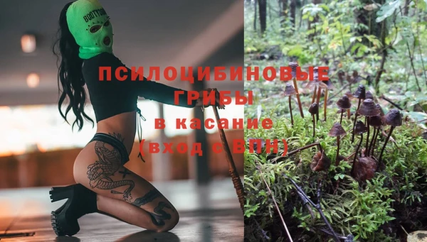 а пвп мука Армянск
