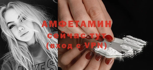 ГАЛЛЮЦИНОГЕННЫЕ ГРИБЫ Осинники