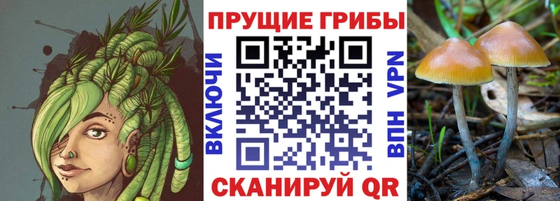 Псилоцибиновые грибы прущие грибы  Ртищево 